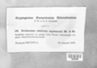 Peridermium abietinum image